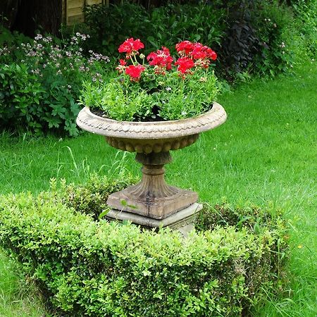 Three Ivy Cross Bed & Breakfast Shaftesbury Exterior photo