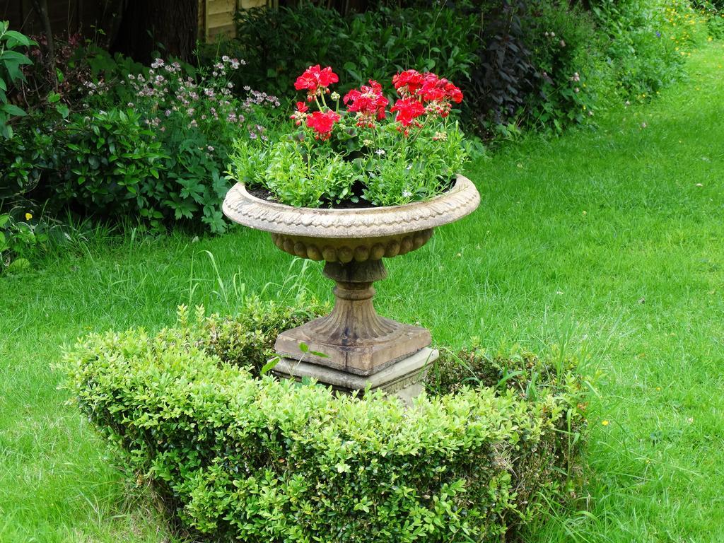 Three Ivy Cross Bed & Breakfast Shaftesbury Exterior photo